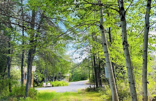 Port Blandford Cabin | Rustic Wave Cottages-Glamping pod #2