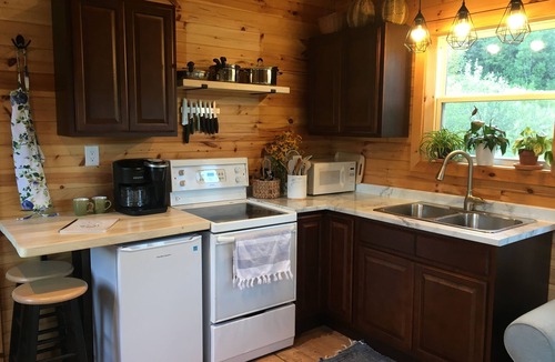 Goshen Cabin | Secluded Tiny Cabin Screened Porch Sleeps 4 - Goshen Springs Getaway