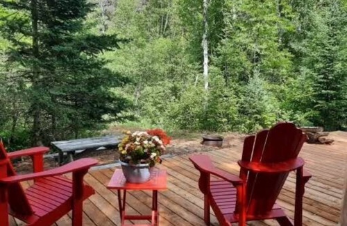 Whitestone Cabin | Site #8 | Terra Dome