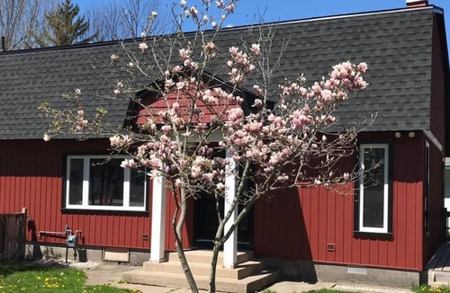 Crystal Beach Cottage | Sleeps 8, Two Car Parking with Hot Tub and Pool