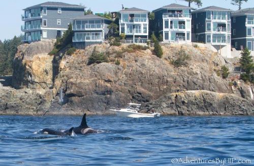 Sooke Resort | SookePoint Ocean Cottage Resort