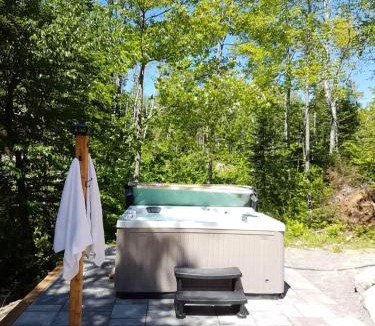 Sainte-Emelie-de-L'Energie Ski Chalet | Spa & Lake Access - Cariboo