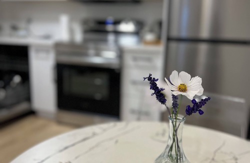 Willoughby House | Spacious and modern 2BR oasis- home away from home