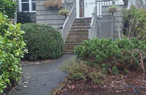 Marpole Apartment | Spacious one bedroom, one bath. Two minute walk from Marine Gateway Station