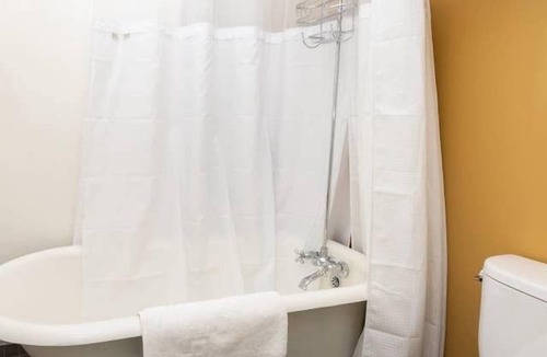 Northeast Edmonton Apartment | Sparkling Clean, Central Cozy and Bright in Highlands
