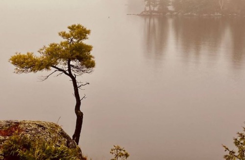 Utterson Cottage | Spectacular Boathouse on Beautiful Skeleton Lake in Porcupine Bay