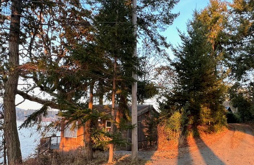 Sidney Cottage | Spectacular ocean views. Private beach. Abundant Wildlife. Winter stormwatching!