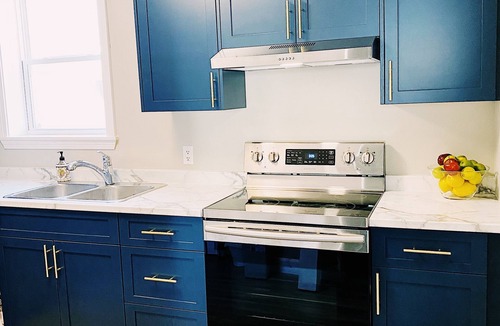 Fredericton Apartment | Spin & Sip | Dog-Friendly Vinyl Vibes Downtown