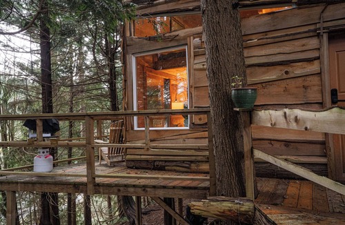 Langdale Cabin | Spring Fling at The Love Shack!