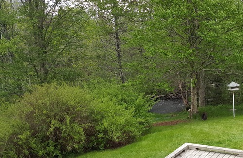 Chester House | Stoneybrook House - historic property on 1.7 acres of land