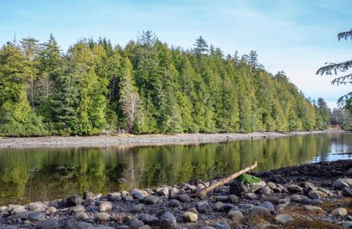 Ucluelet House | Storm Bay, Modern 1 Bed Suite and Chefs Kitchen