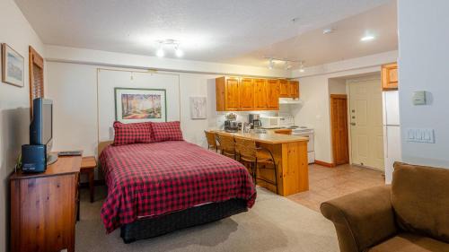 Sun Peaks Apartment | Studio Apartment
