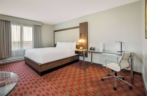 Calgary Hotel | Stylish Room with Swimming Pool, Close to Calgary's Premier Attractions