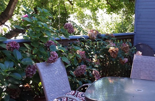 Kitsilano House | Sunny South-Facing fully furnished one bedroom suite with a 10 X 20 Deck