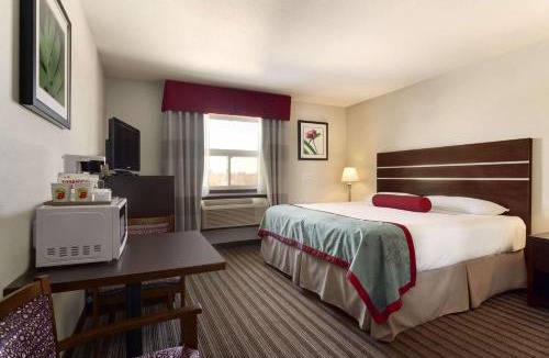 Saskatoon Downtown Hotel | Super 8 by Wyndham Saskatoon Near Downtown