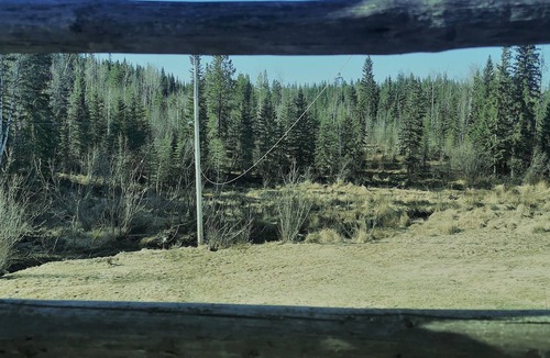 Regional District of Fraser-Fort George House | Sweetwater <3 Log home on 150 acres w/ creek views