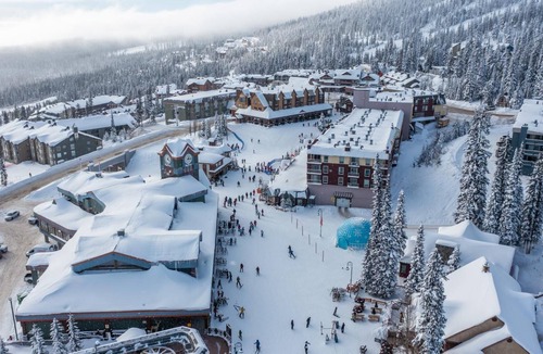 Snow Pine Estates Apartment | The Bear Cave-Brand New w/Amazing Views & Hot Tub