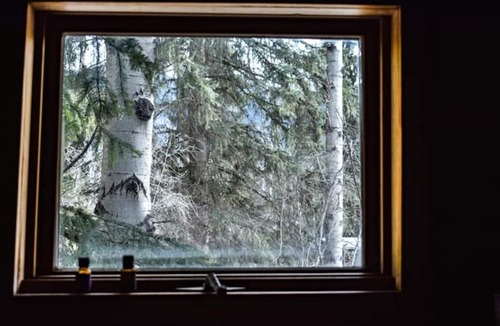 Blaeberry House | The Blaeberry Base Vintage Camper W/Outdoor Shower