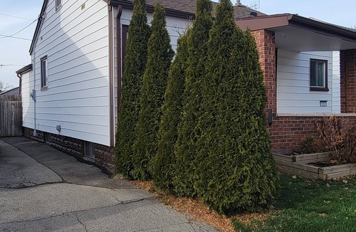 Welland House | The Cozy Cottage close to Magnificent Niagara Falls