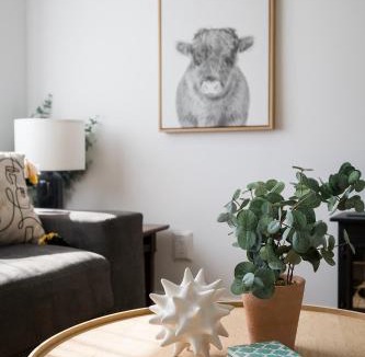 Prince Edward House | The Darcie House - cozy, pet-friendly home in PEC
