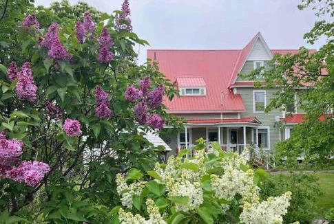 Bayfield Apartment | The Doctors Inn New Brunswick
