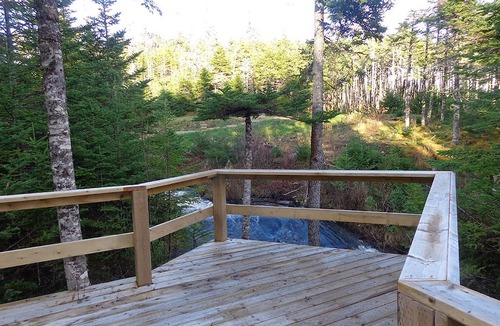 Mount Carmel-Mitchells Brook-St. Catherines Hotel | The Wilds at Salmonier River