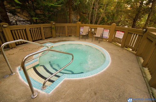 Blackcomb House | The Woods - Renovated, Family Friendly Condo on Free Shuttle and Golf Course