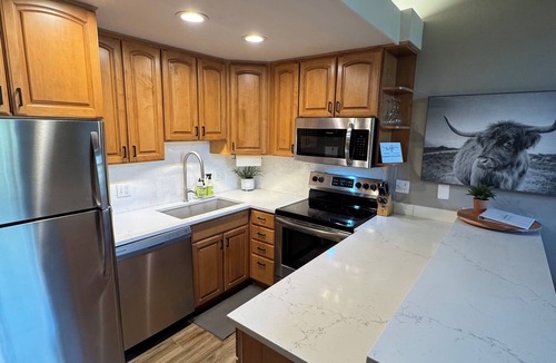 Steamboat Springs Condo | ‘This Must be the Place!’ Ski-in/Ski-out condo with breathtaking views!