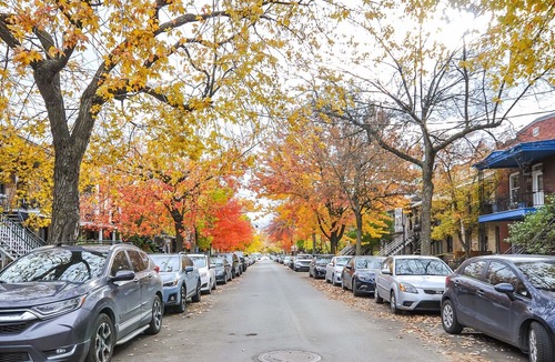 La Petite-Patrie Apartment | try to erase but unsuccessful. in Rosemont—La Petite-Patrie