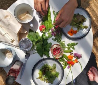 Cormack Bed & Breakfast | Upper Humber Settlement a FarmStay B&B