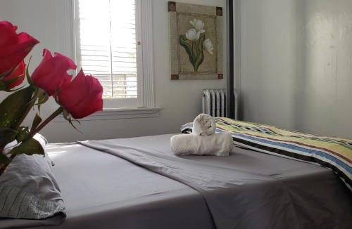 Central House | Vancouver Hideaway Guesthouse