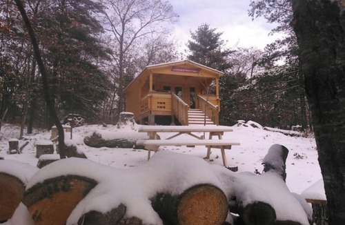 Golden Lake Cabin | Very Private, Secluded, Wildlife, No Neighbors!