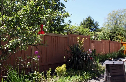 Saanich House | View Royal 1Bdrm Suite 35