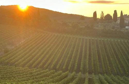 Castellina in Chianti Bed & Breakfast | Villa Gran Sogno