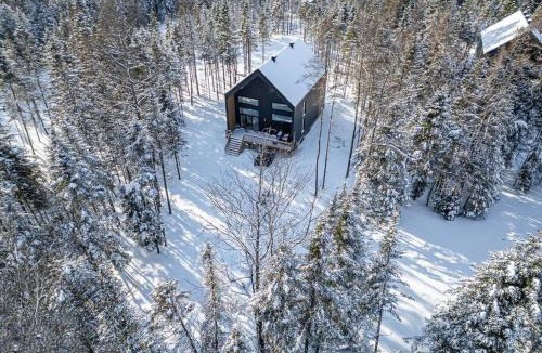 Shannon Ski Chalet | Villa Romeo
