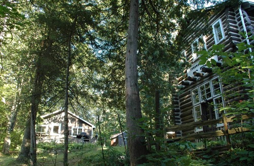 Tiny Cabin | walk to private beach across the street -2BR Cozy Forest Cabin -amazing sunsets