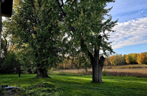Gatineau House | Waterfront 4-bedroom house 25mins from downtown Ottawa