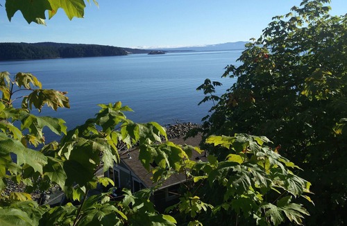 Regional District of Nanaimo Apartment | We are close to hiking trails, caves , alpine resort, beaches