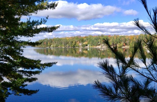 Trent Lakes Cottage | Whispering Pines