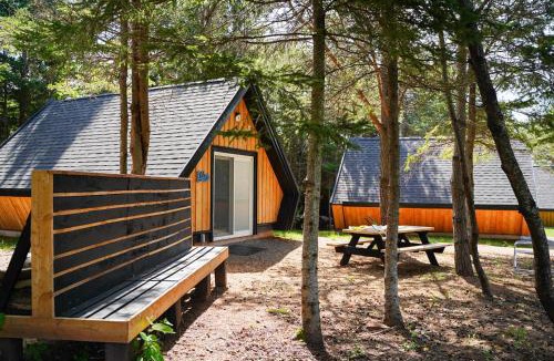 Belfast Other | Wild Pines Cabins