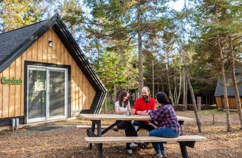 Belfast Other | Wild Pines Cabins