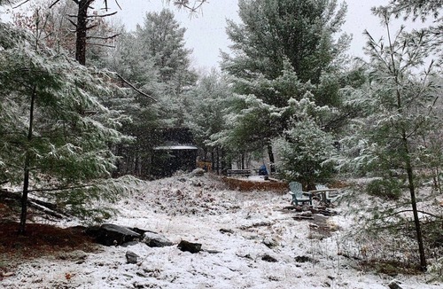 Minden Hills Cabin | Wilderness Adventure Cabin, Unique Experience