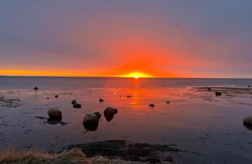 Rocky Harbour Hotel | Wildflowers Country Inn