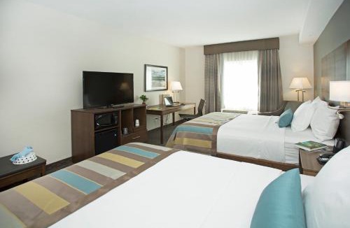 Calgary Hotel | Wingate by Wyndham Calgary Airport