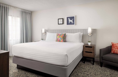 Thornhill Hotel | Your Home Away from Home - Indoor Pool, BBQ Grill, and Complimentary Breakfast