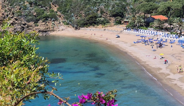 A few steps from the sea rdv est special offer free wifi