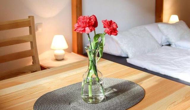 Apartment Vordermitterast