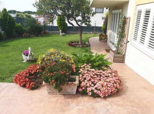 Bed and Breakfast Angolo Fiorito