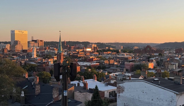 Bright and Sweeping Views in OTR Treehouse