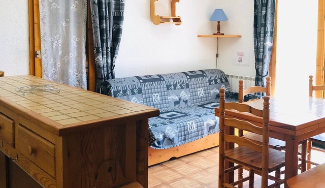 Bright apartment with direct slope access and cabin in La Plagne